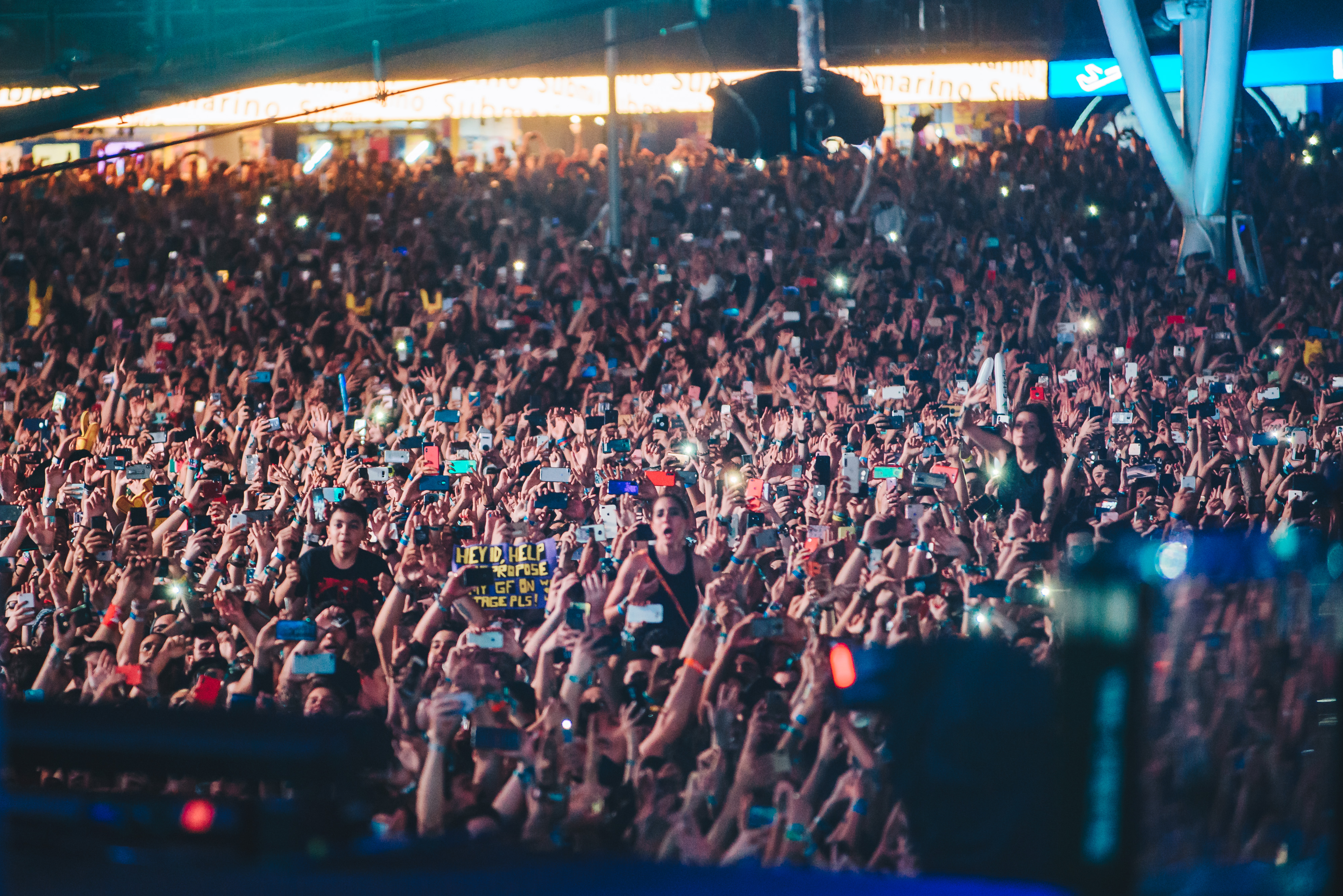 shows