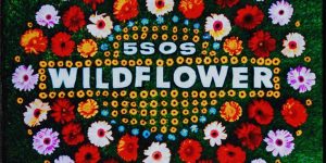 Wildflower 5 Seconds Of Summer