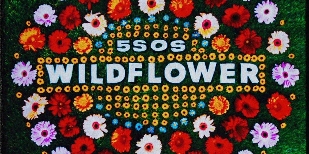 Wildflower 5 Seconds Of Summer