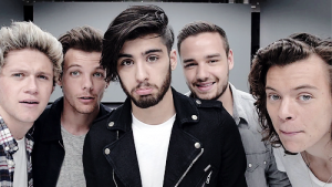 Pausa da One Direction e carreira solo dos integrantes