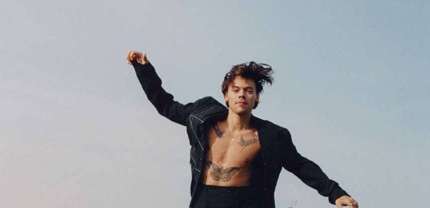 harry styles capa vogue