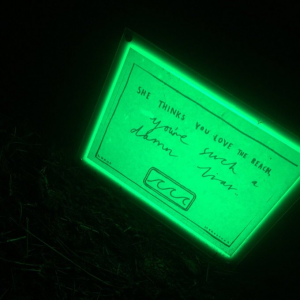 trecho de green light, da lorde
