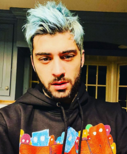 zayn parcerias