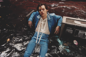 harry styles
