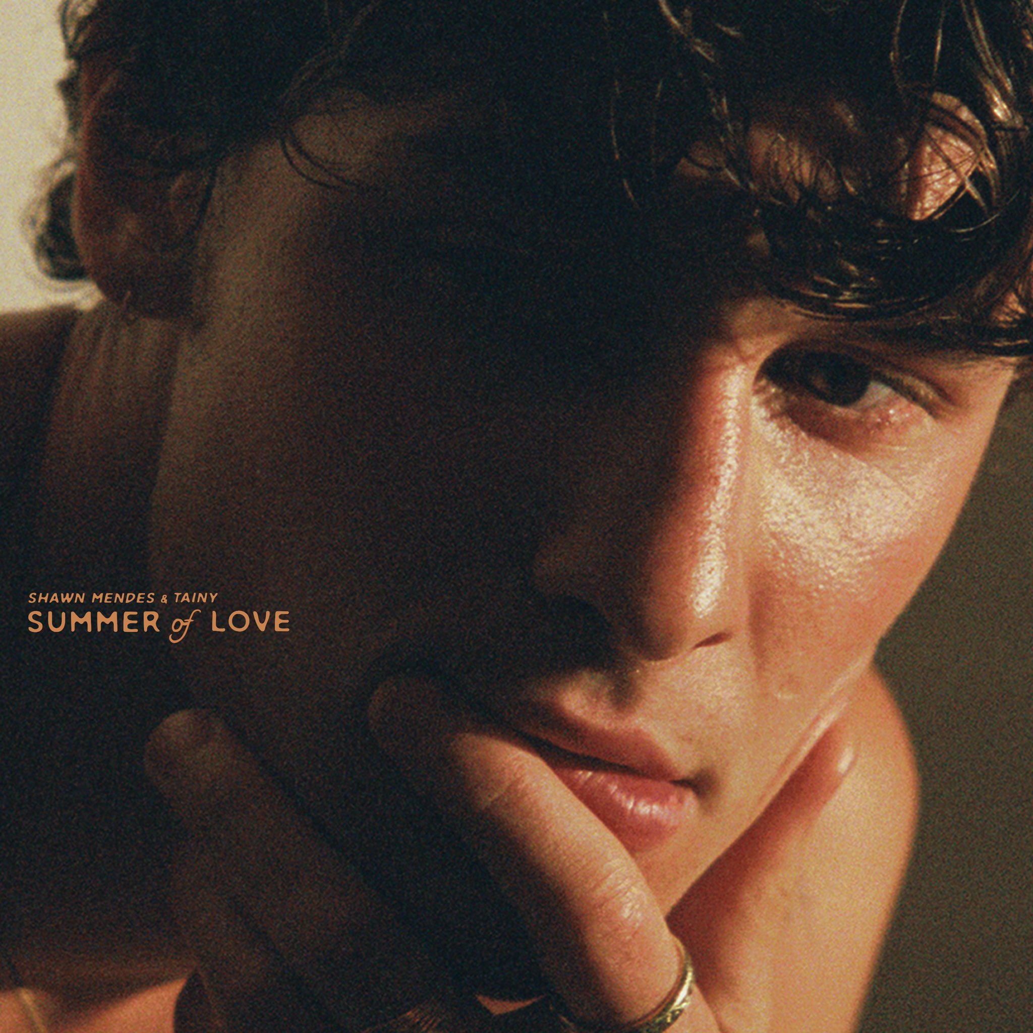 músicas shawn mendes camila