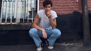 shawn mendes turnê wonder