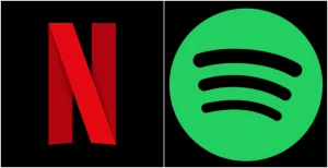 netflix hub spotify