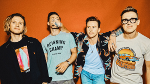 mcfly show rio