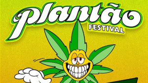 plantão festival