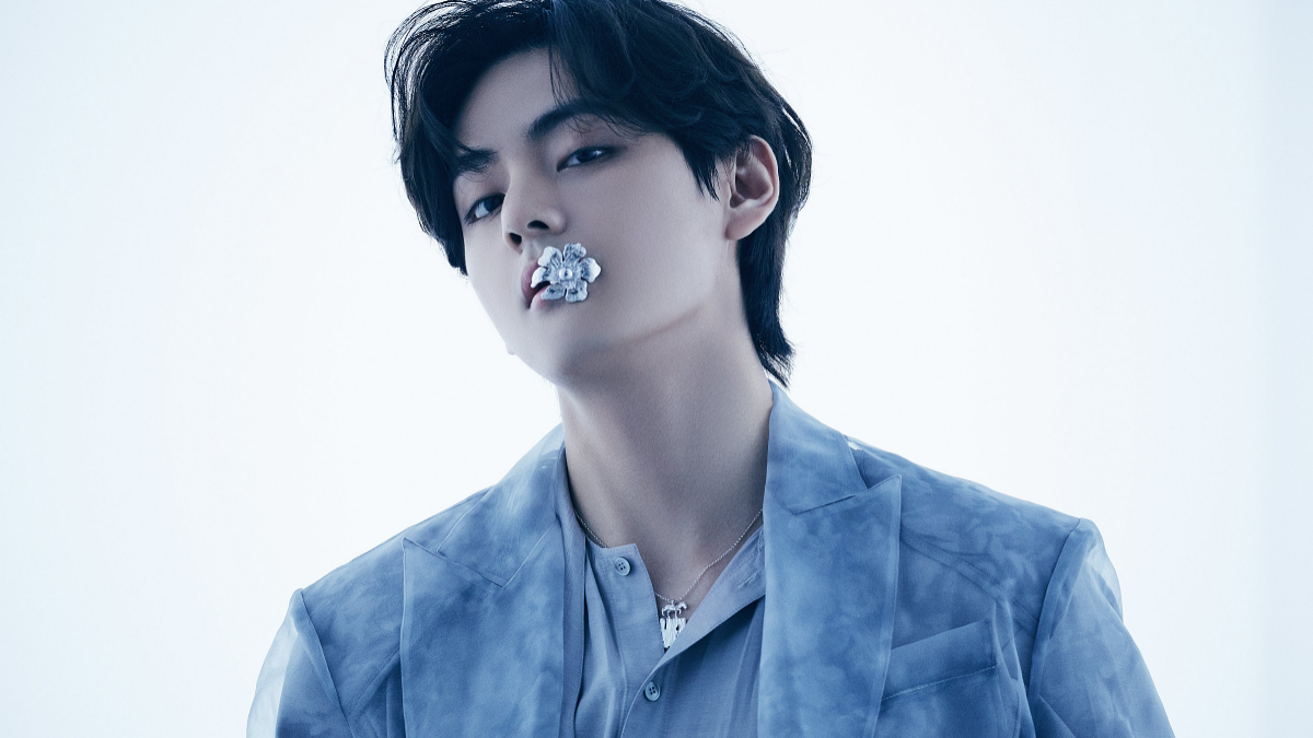 v bts layover