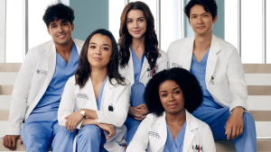 grey's anatomy 20ª temporada
