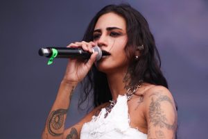 day limns lollapalooza