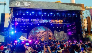 coala festival 2024