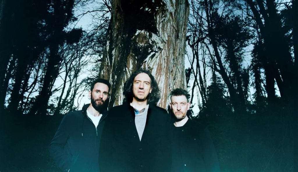 snow patrol the forest is the path