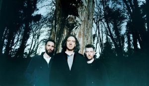 snow patrol the forest is the path