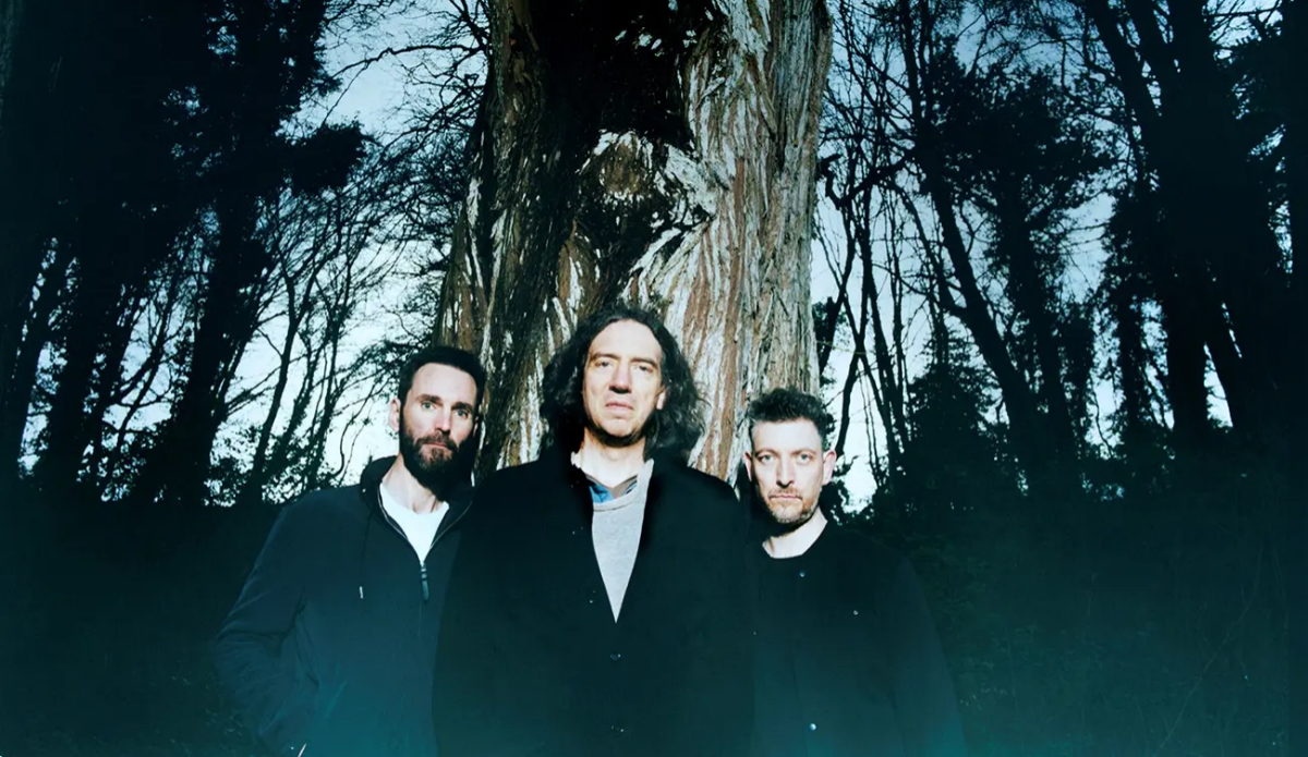 snow patrol the forest is the path