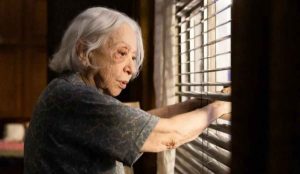 vitória fernanda montenegro