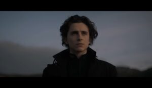 Paul Atreides (Timothée Chalamet) observa o horizonte com expressão séria em cena de “Duna: Parte Dois”; o personagem veste um traje escuro, com o céu nublado ao fundo.