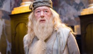 harry potter dumbledore