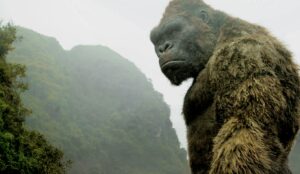 kong: a ilha da caveira sessão da tarde 01 a 05/12