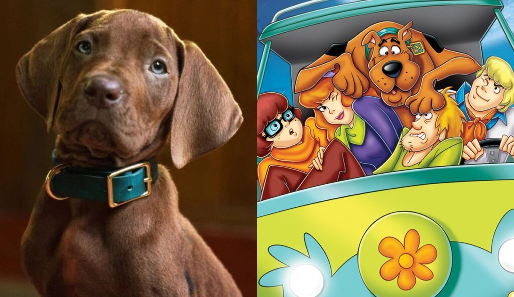 Scooby-Doo para a série live action de "Scooby-doo: A Origem"