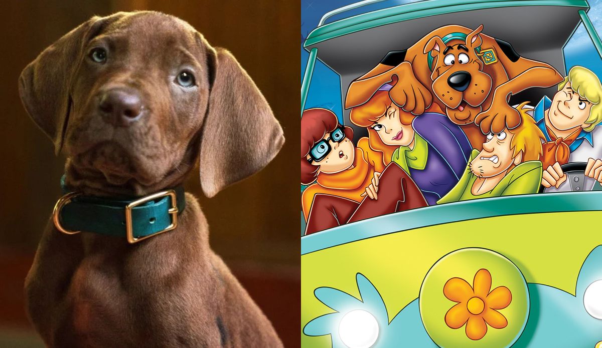 Scooby-Doo para a série live action de "Scooby-doo: A Origem"